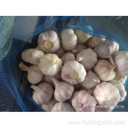 New Crop Fresh Garlic Loose Packing